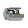Caliper Piston - Mechanism