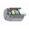 Caliper Piston - Mechanism