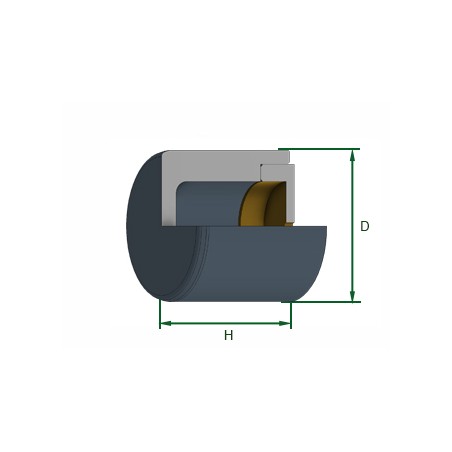 Caliper Piston