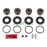 Caliper Repair Kit + Piston