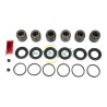 Caliper Repair Kit + Piston