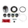 Caliper Repair Kit + Piston